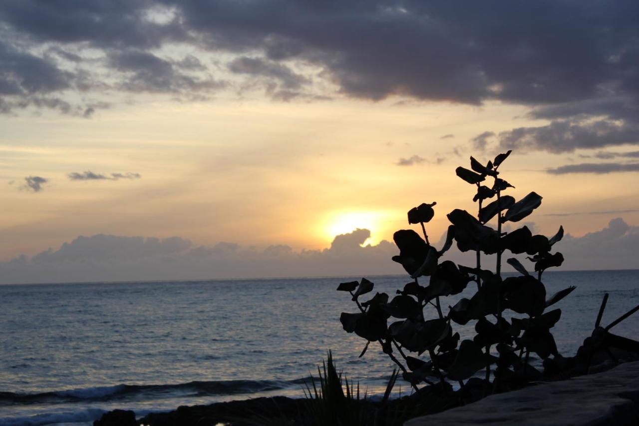 Hotel Benahoare ลอสยานอส เด อารีดาเน ภายนอก รูปภาพ
